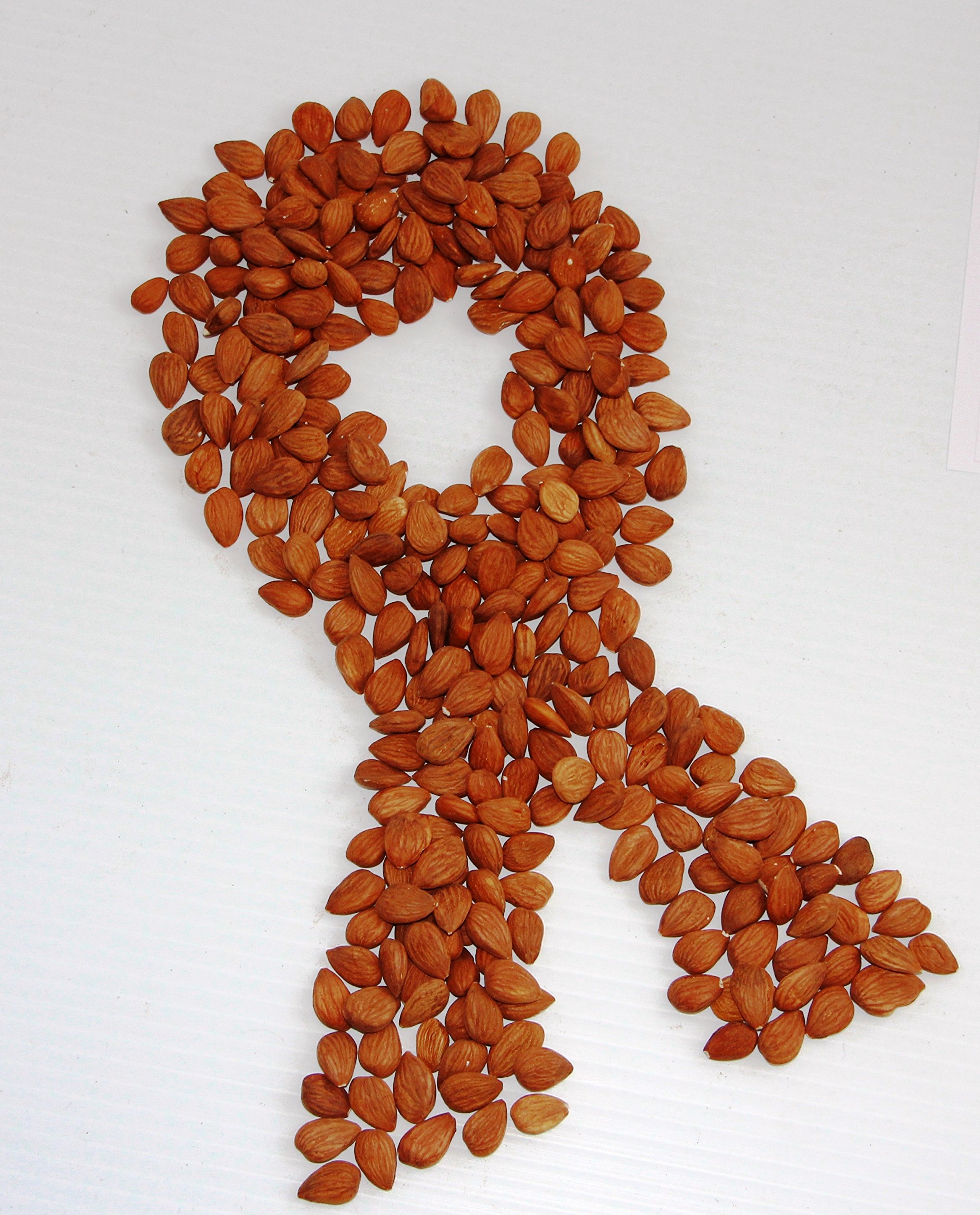 Embracing Apricot Seeds For A Healthier Lifestyle